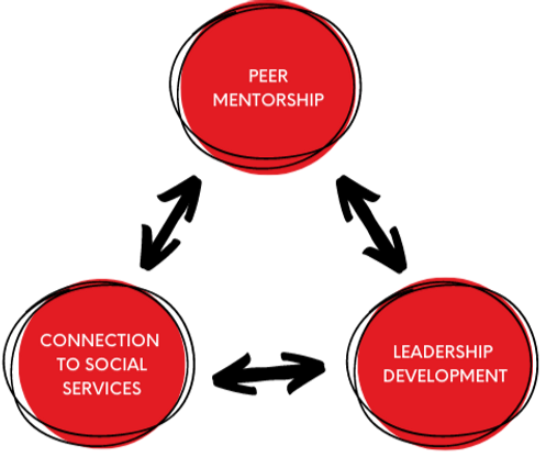 Three circles illustrating arranged in a triangle formation with the words peer mentorship, social development, leadership development written in one circle each. There are arrows pointing in both directions between each circle, illustrating the relationship between all three concepts.